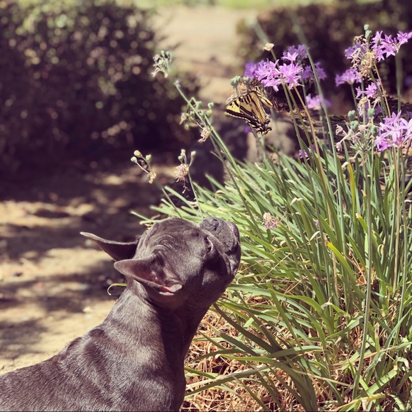 Get to know your Posher! - Picture 11 of 16